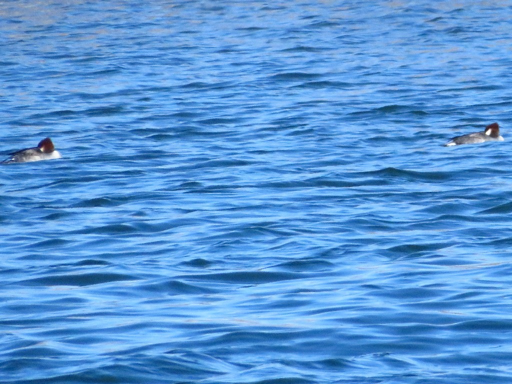 a0018655_09040128.jpg