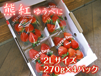 熊本イチゴ『熊紅(ゆうべに)』大好評販売中!ただし、こだわりの朝採り即日発送のため数量限定です!_a0254656_17430013.jpg