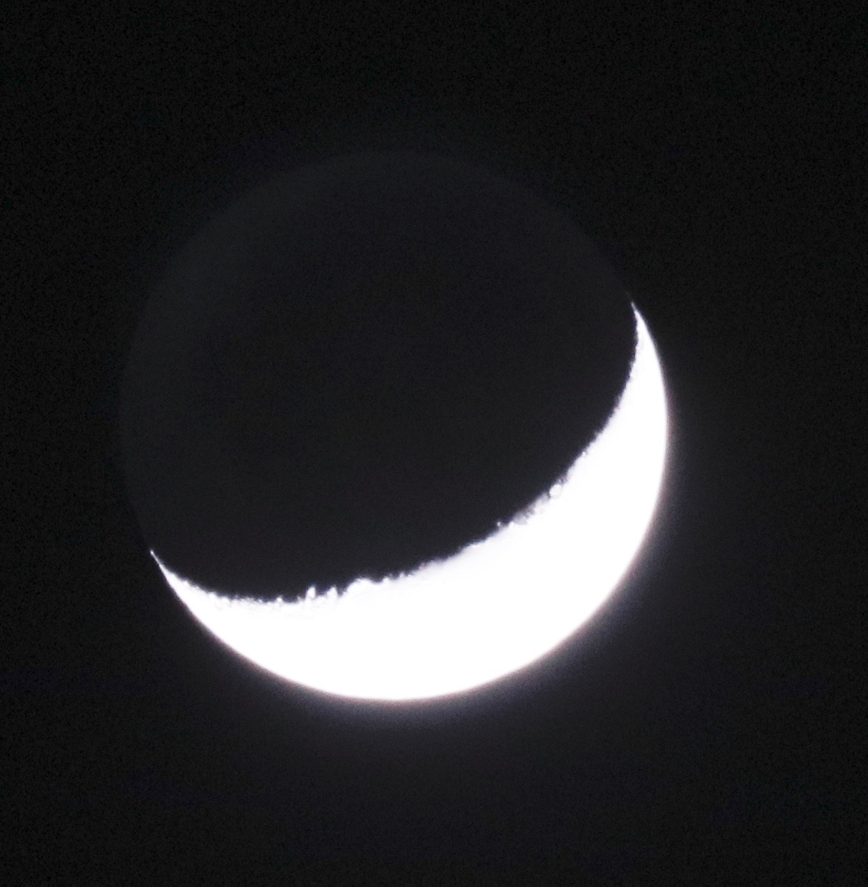 a0248459_15573423.jpg