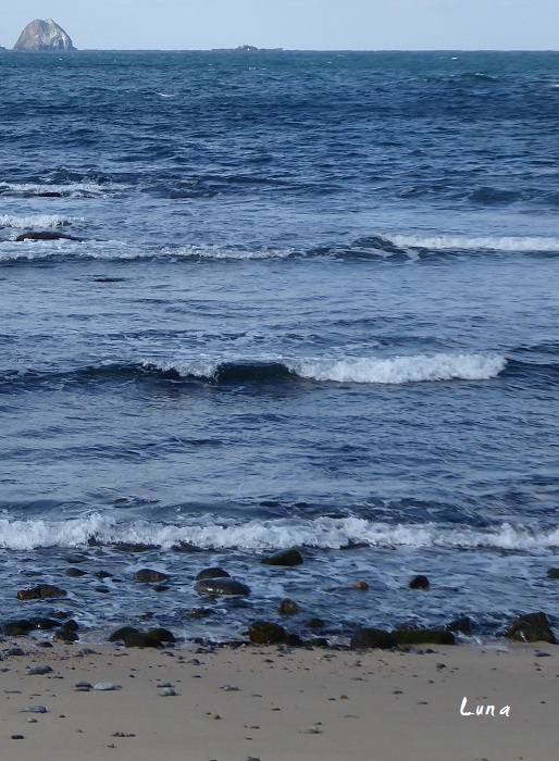 c0222861_19492313.jpg