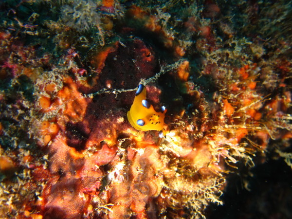 f0164662_14593983.jpg