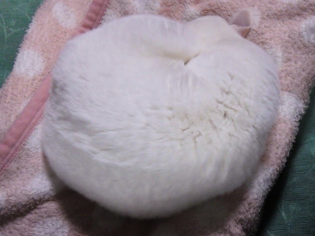 c0105569_01193793.jpg