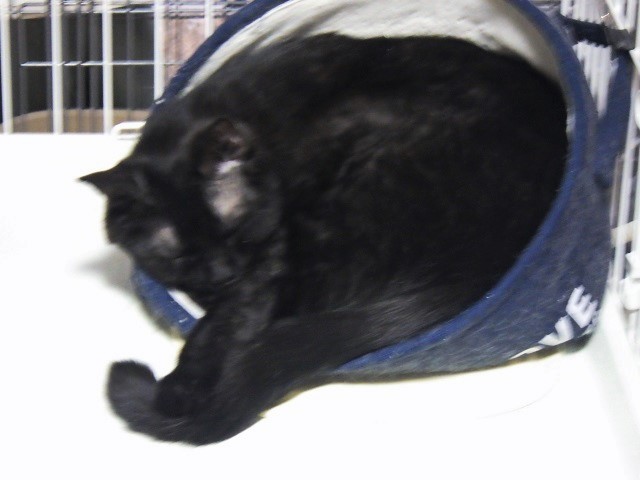 c0105569_01194829.jpg
