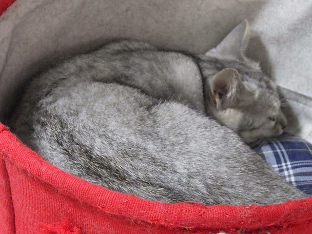 c0105569_01195231.jpg