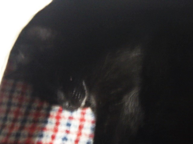 c0105569_01200416.jpg