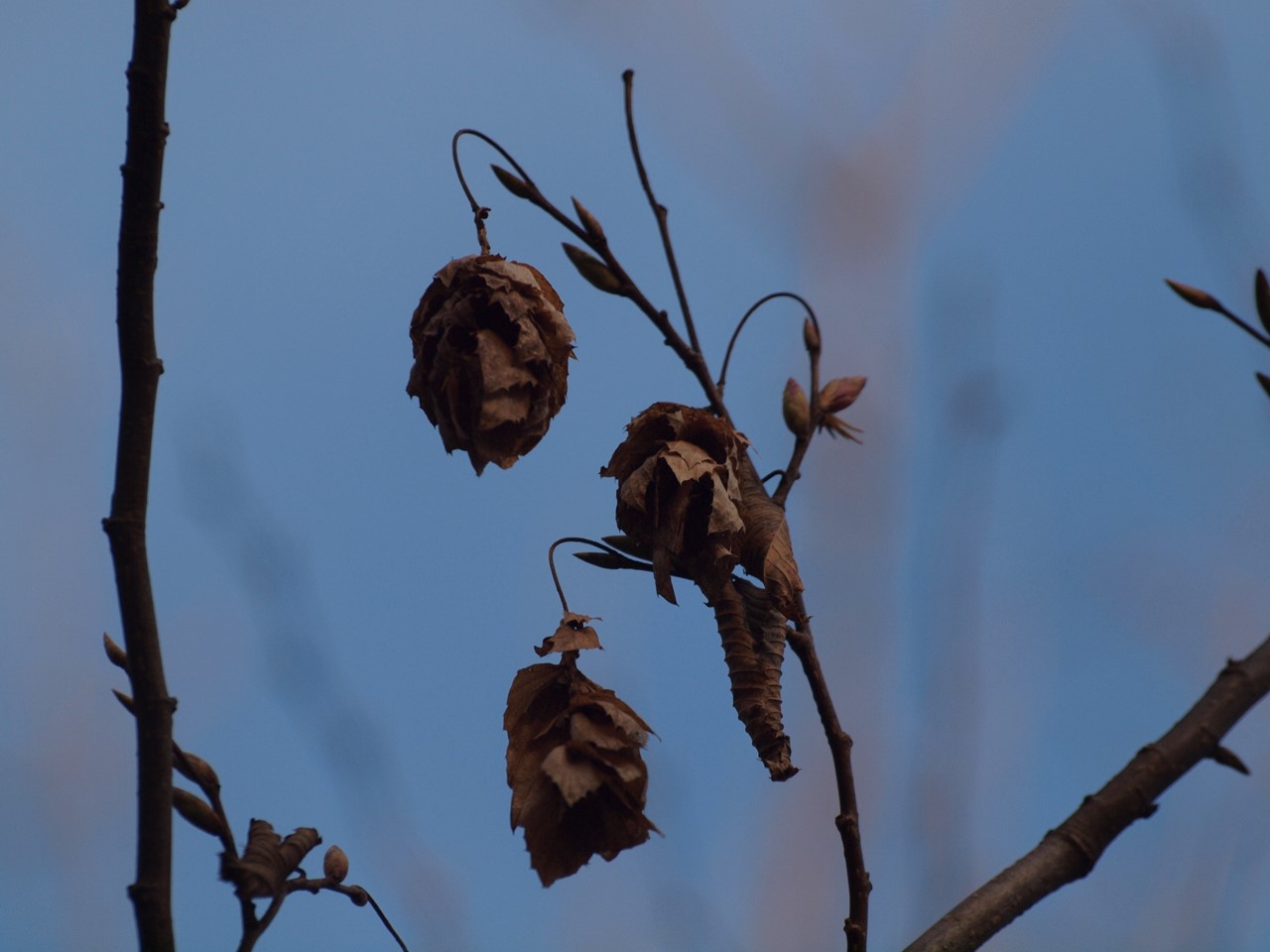 d0054276_20153956.jpg
