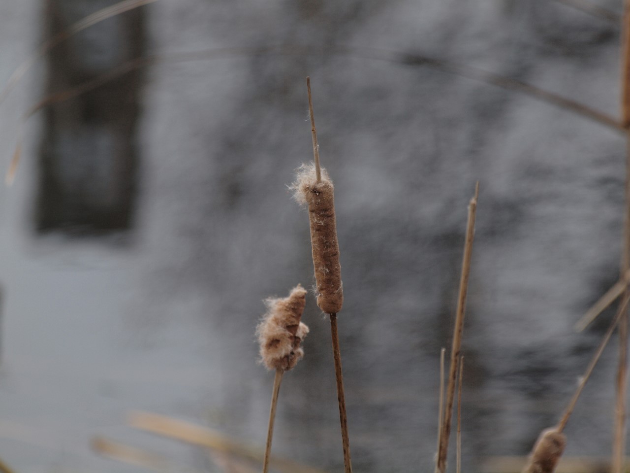 d0054276_20175526.jpg