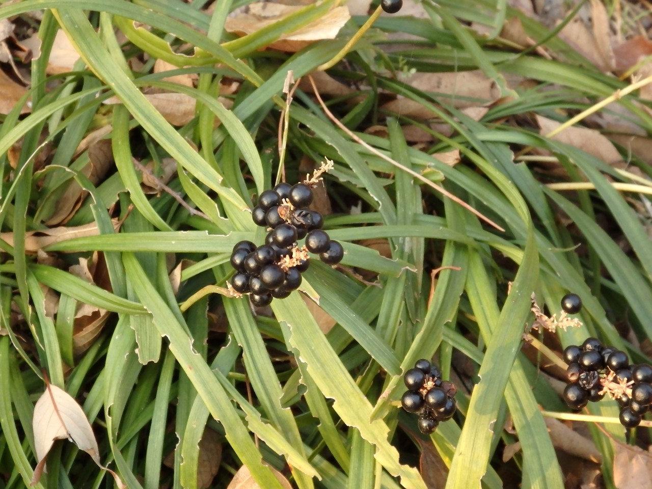 d0054276_20185379.jpg