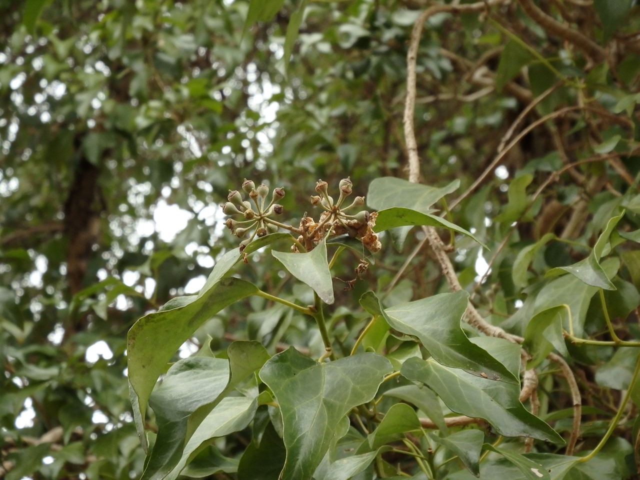 d0054276_20202392.jpg