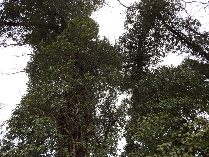 d0054276_20205995.jpg