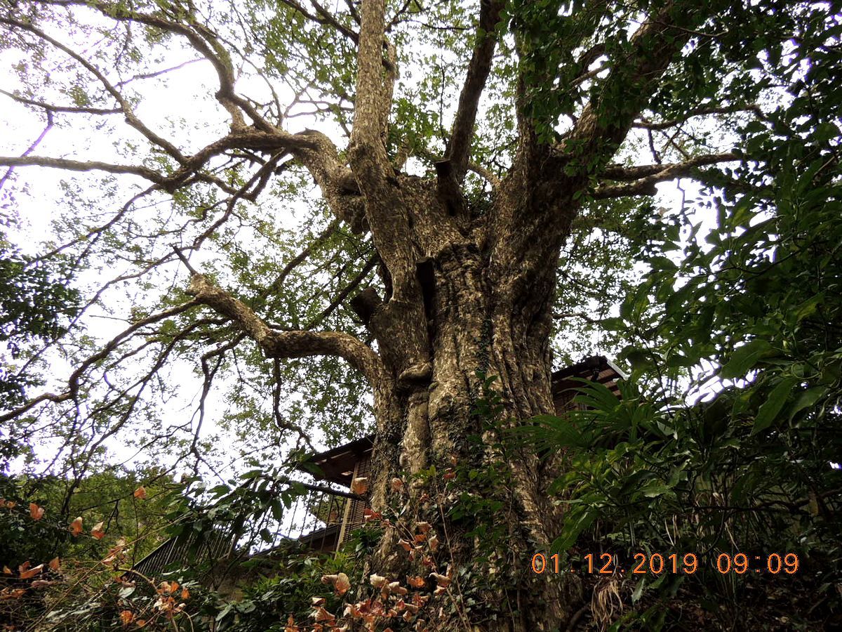 f0104277_20480712.jpg