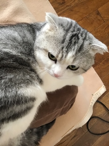 f0252578_23343115.jpeg