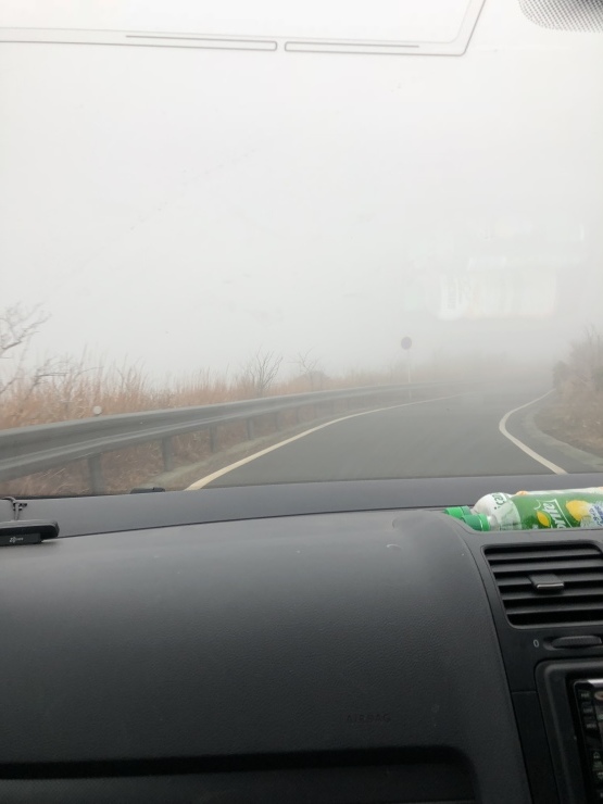 2019年1月12日  超効率悪い_b0098584_21321875.jpeg