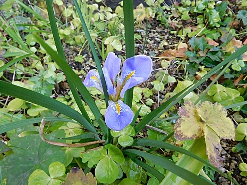 e0086885_16085133.jpg