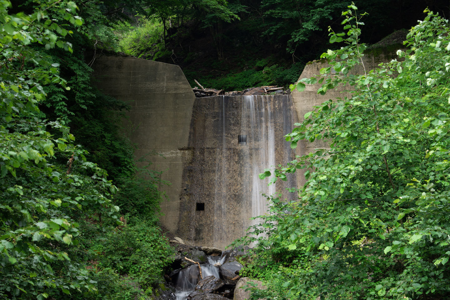 天竜スーパー林道　　July. 2018　　#008_a0142487_21394368.jpg