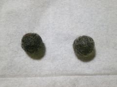 e0135287_20325216.png