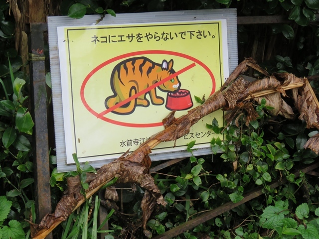 f0357487_21275778.jpg
