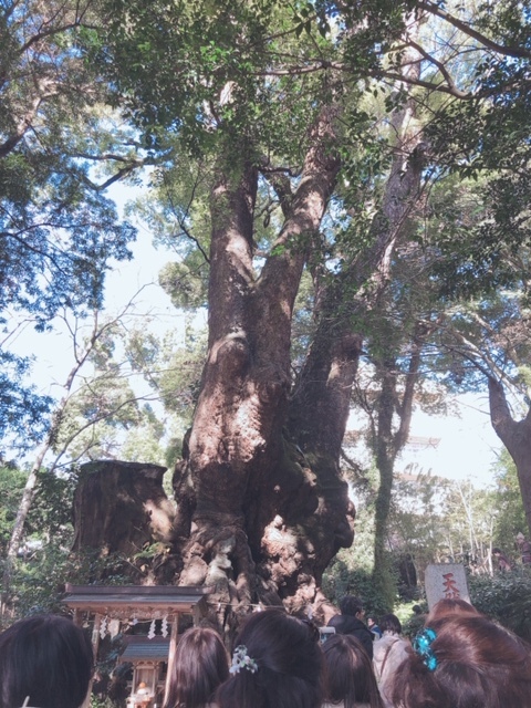 d0035895_11272789.jpeg