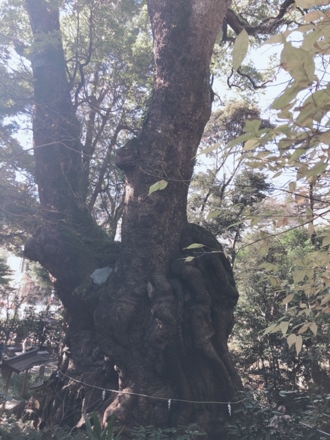 d0035895_11273557.jpeg