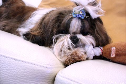 今日は室内で写真撮影の自習です。_c0090198_17465337.jpg