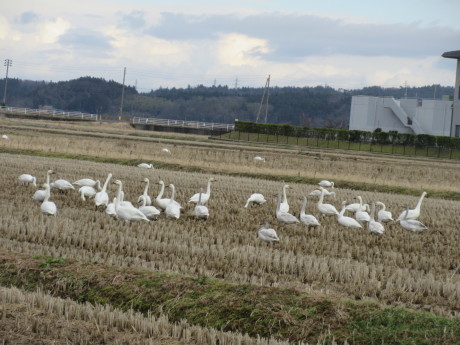 a0203003_17250330.jpg