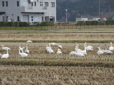 a0203003_17252457.jpg