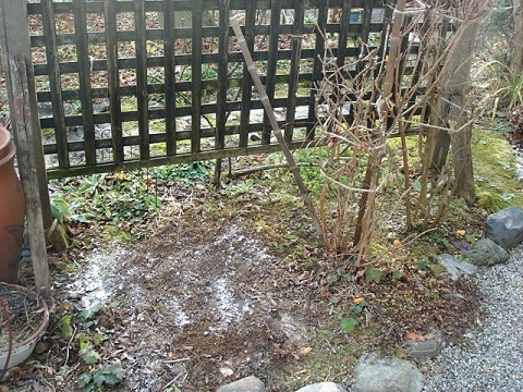 c0112206_17182112.jpg
