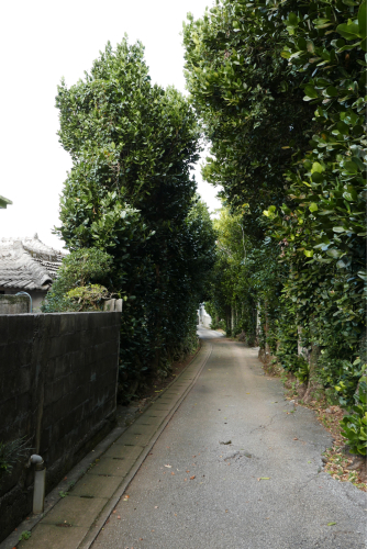 d0147406_15501529.jpg