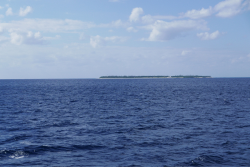 d0147406_20312107.jpg