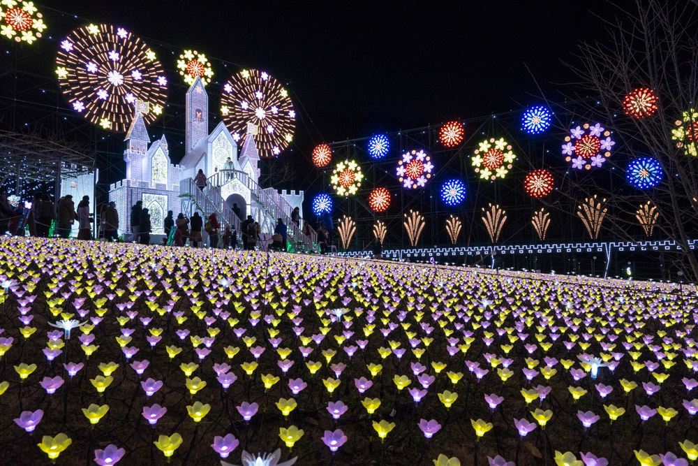 光の花の庭 Flower Fantasy 2018-2019〜あしかがフラワーパーク②_b0225108_17321323.jpg