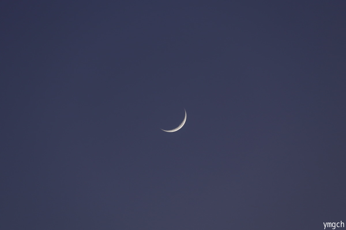 f0157812_15205147.jpg
