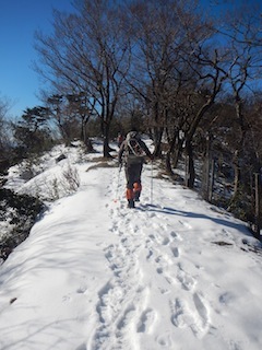 c0359615_18190421.jpg