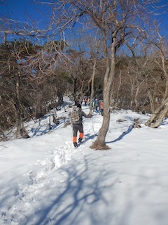 c0359615_18201982.jpg