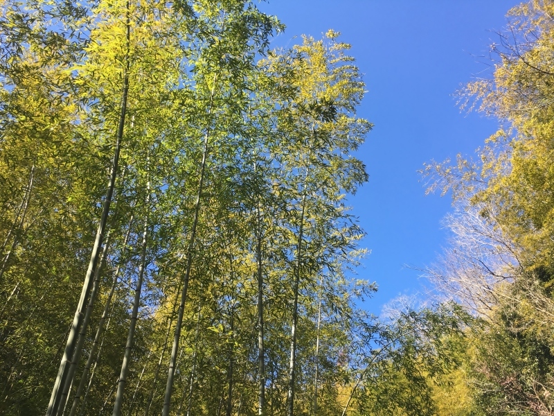 b0220318_14384315.jpg