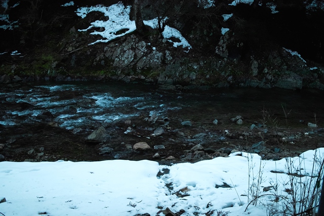 c0044819_737728.jpg