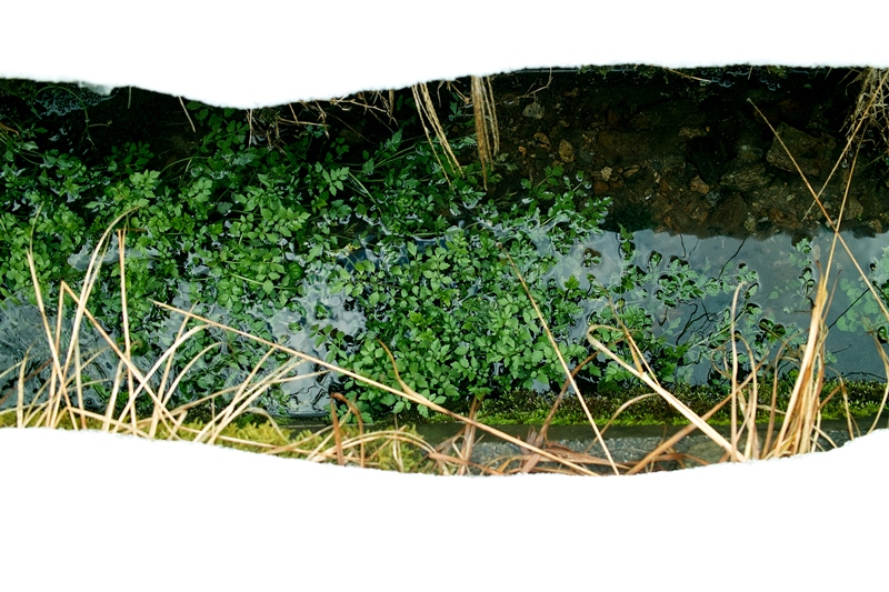 c0044819_7502246.jpg