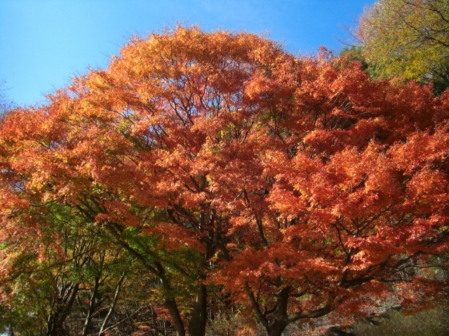 c0074721_14260701.jpg