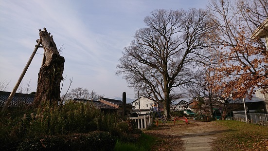 f0000521_21461668.jpg