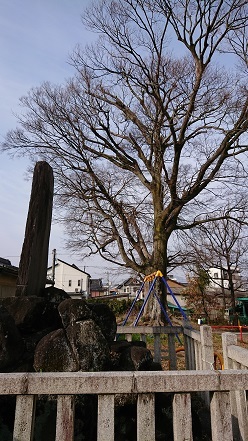 f0000521_21463781.jpg
