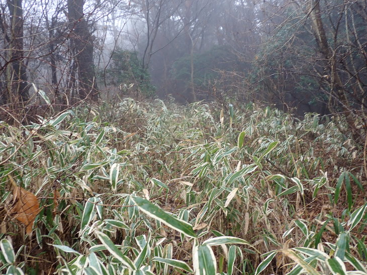 f0193521_1912582.jpg