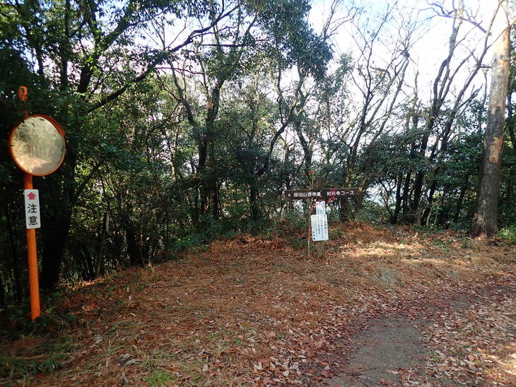 f0193521_4273549.jpg