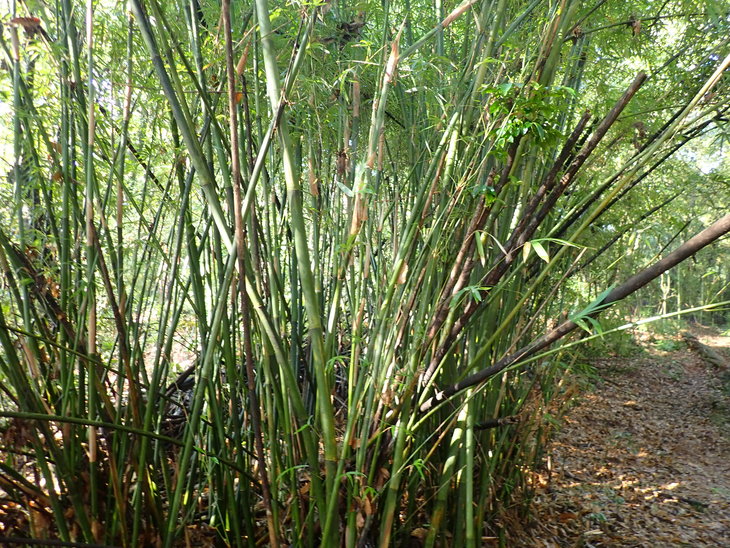 f0193521_4341251.jpg