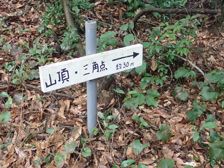 f0193521_4413899.jpg