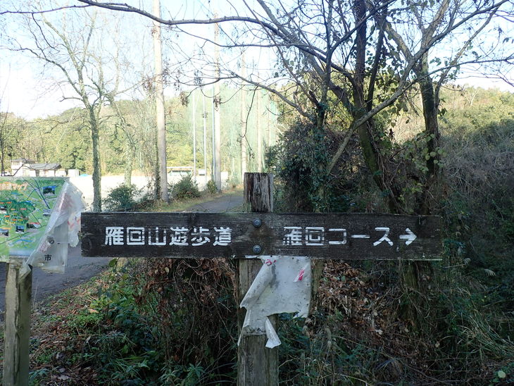 f0193521_4462844.jpg