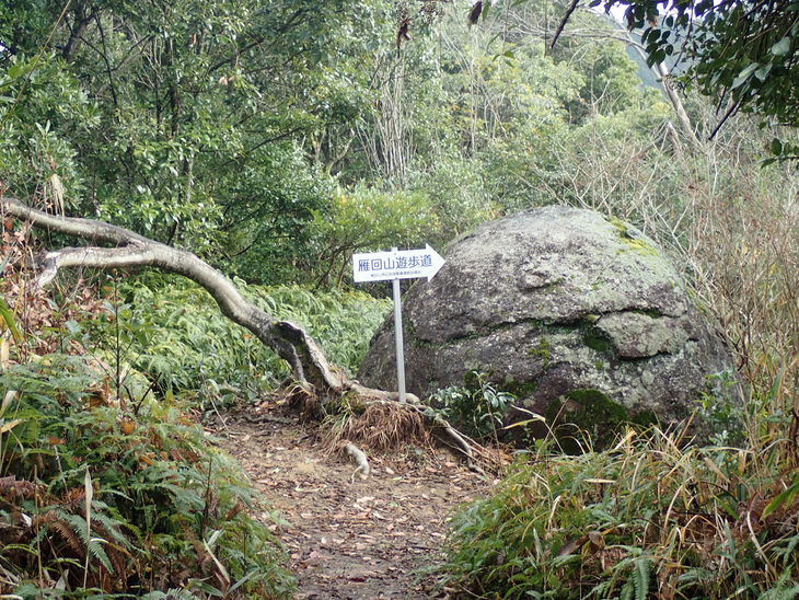 f0193521_44918.jpg