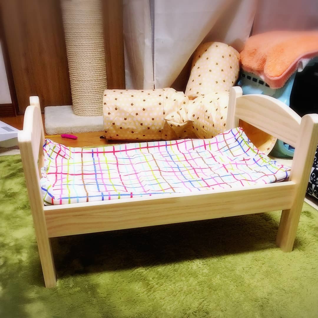 猫ベッド_d0233224_12451772.jpg