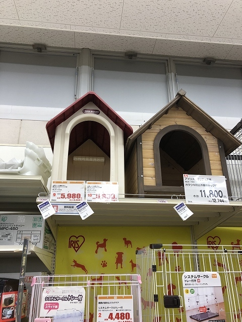 バカ犬 家を買う_e0374932_07250926.jpg