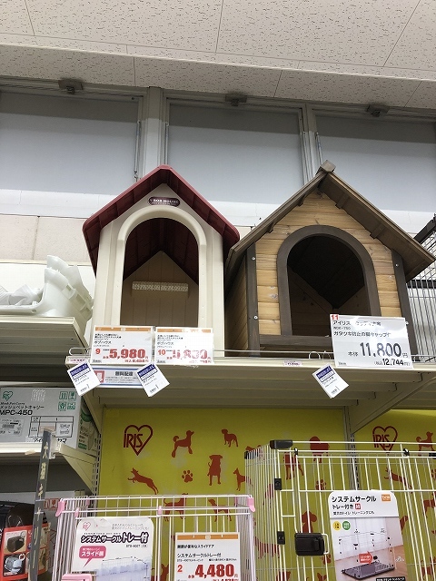 バカ犬　家を買う_e0374932_07250926.jpg