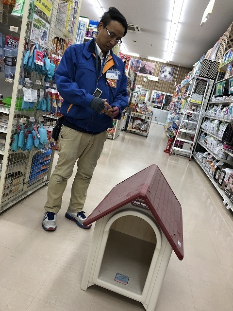 バカ犬 家を買う_e0374932_07251218.jpg