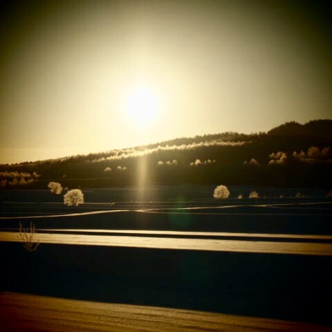 a0329935_15595053.jpeg